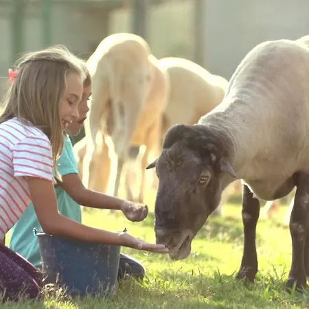 Devesa Gardens El Saler